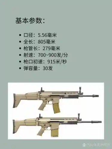 全军突击武器介绍插图1