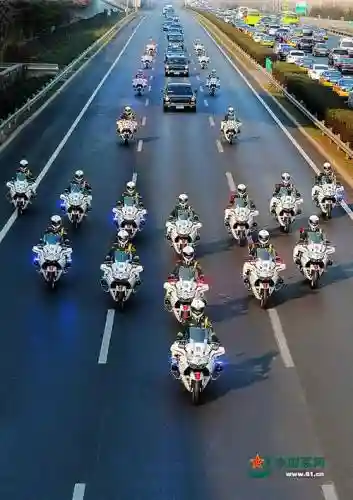 铁骑护卫阵容插图1