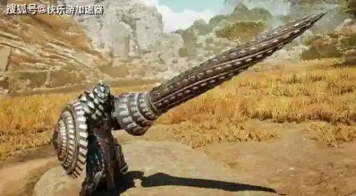 怪物猎人长枪是什么武器插图