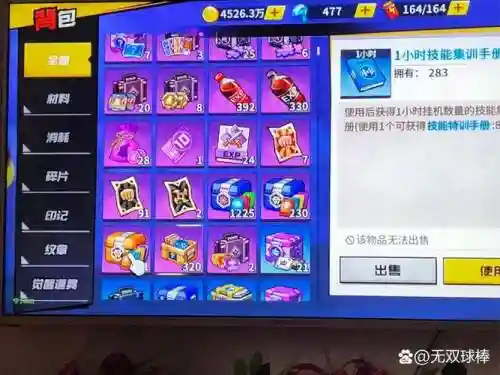 最强之男装备插图