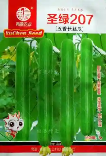丝瓜适合什么武器插图