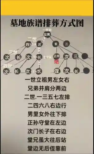 墓园阵容怎么搭配插图