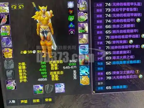 男圣骑士带的辅助装备插图1