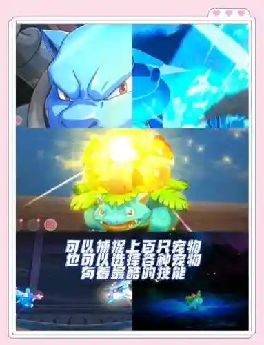 口袋觉醒自爆最新阵容搭配插图1