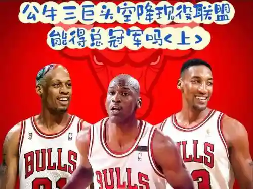 科普公牛阵容插图1