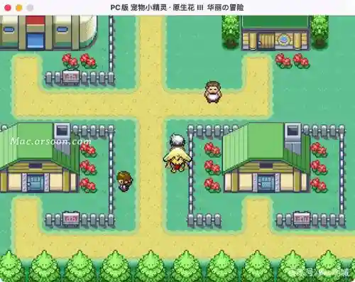 宠物小精灵原生花3华丽的攻略_1插图