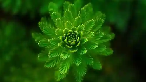 如何使异界装备生产绿色气息插图1