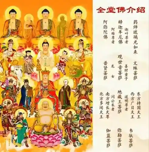 佛姥爷阵容搭配插图1