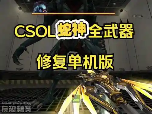 csol单机版bte武器修改插图