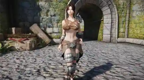 上古卷轴5武器和乳摇_1插图