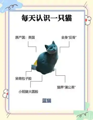 6.83蓝猫大型攻略插图1