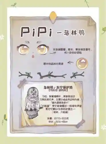 catbird攻略第四章插图1