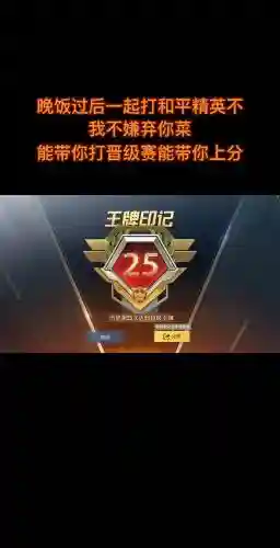 荣耀皇冠阵容插图1