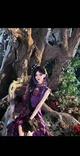 毒娘子阵容搭配插图1