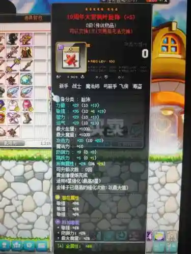 冒险岛装备脸饰_1插图1