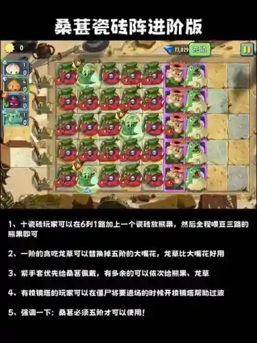 植物大战僵尸官方搭配阵容插图1