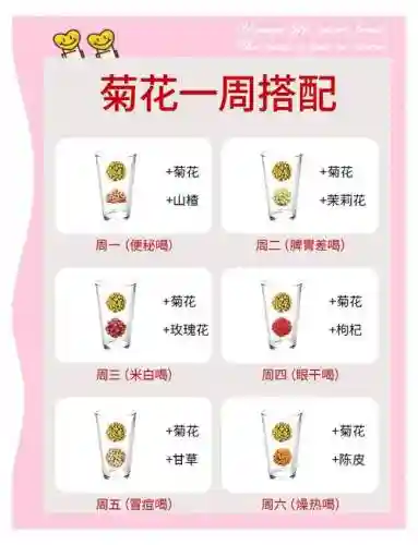 主菊阵容搭配插图1