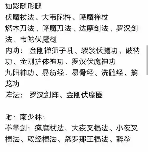 武极强拳技能的名字插图1