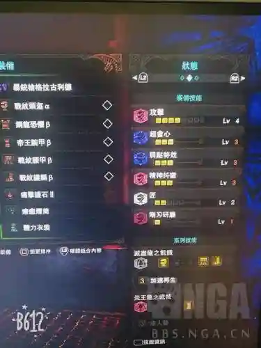 烂辉龙毕业武器配装_1插图1