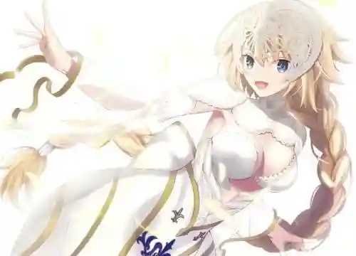 fgo贞德阵容搭配_1插图1