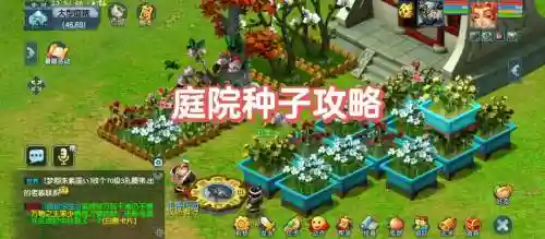 梦幻西游种花需要大型庭院吗插图