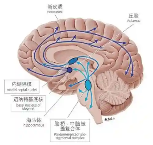 brainiton攻略16_1插图1