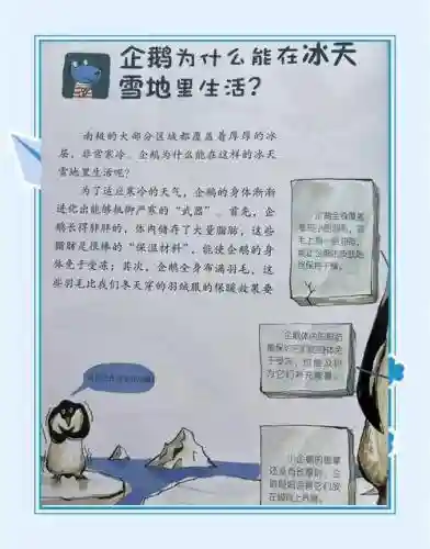 雪地生存日志攻略插图