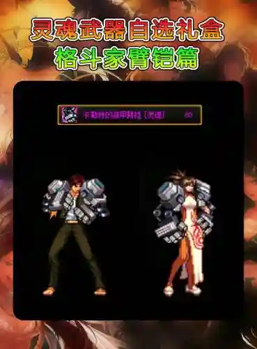 远古装备礼盒选哪个格斗家_1插图