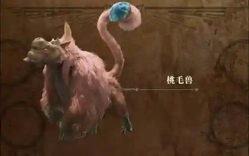 怪物猎人XX桃毛兽攻略_1插图1