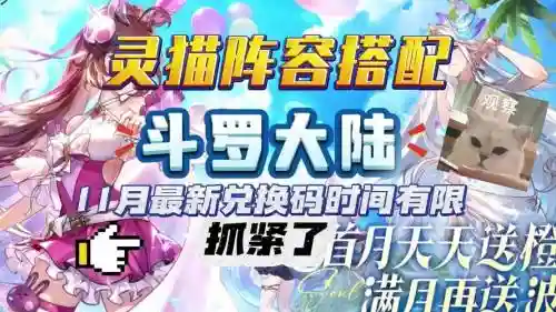 斗罗大陆5猫的阵容搭配插图