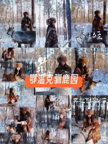 驯鹿最强阵容_1插图