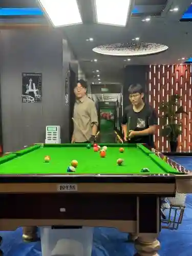 台球高手搭配阵容插图