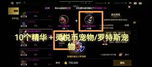 dnf无尽之塔能刷宠物装备_1插图