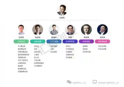 京东阵容分析_1插图1