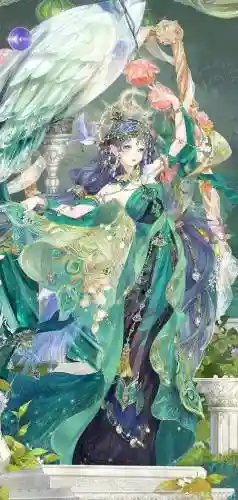 孔雀翎阵容搭配_1插图1