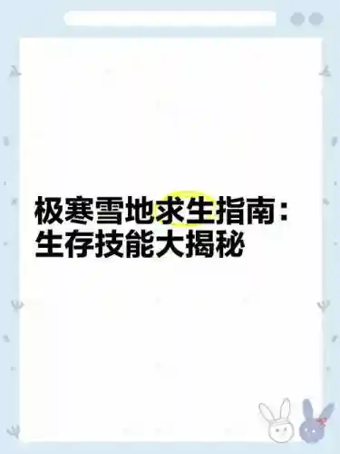 雪地生存日志攻略插图1