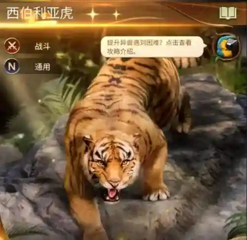 美洲新世界阵容搭配推荐，美洲新世界怎么加点插图