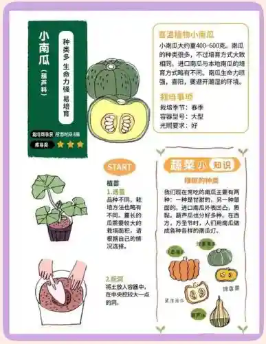 燃烧的南瓜田攻略，燃烧的蔬菜攻略插图1