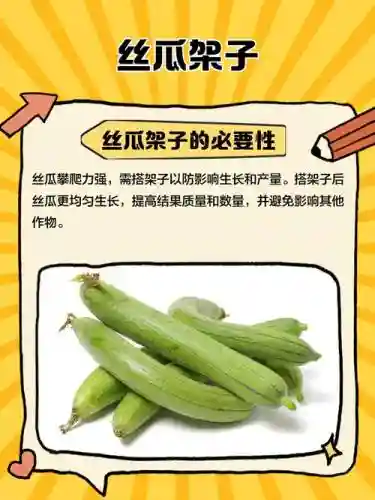 丝瓜适合什么武器，丝瓜适合什么武器搭配插图1
