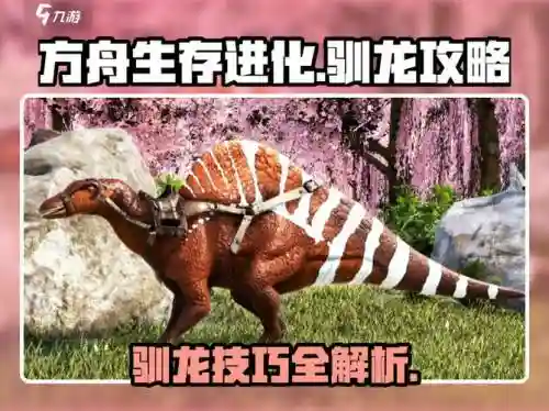 方舟生存进化驯龙武器，方舟生存进化驯龙武器怎么获得插图1