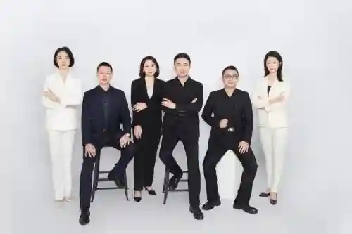 有限公司最强阵容搭配，有限公司有哪些岗位插图1