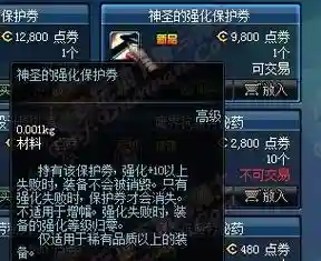 神圣的武器强化保护，神圣的强化保护券插图1