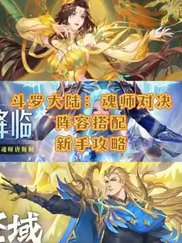 斗罗大陆颠峰阵容搭配，斗罗大陆巅峰对决最强阵容插图1