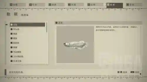 尼尔武器钓鱼，尼尔钓鱼全图鉴插图1