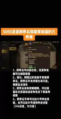 ss武器值得跨界吗，ss装备如何跨界插图1