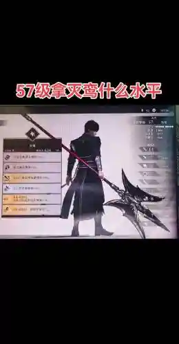 三国无双6十级武器，三国无双6十级武器怎么升级插图1