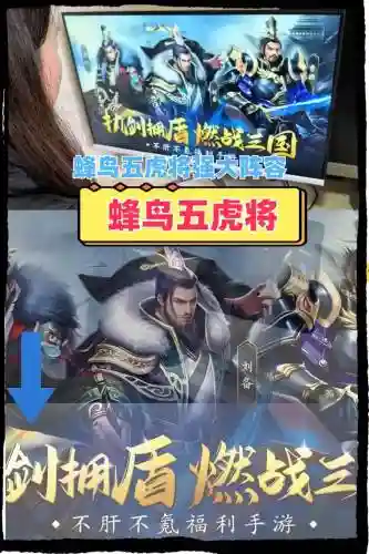 蜂鸟五虎将阵容搭配，蜂鸟五虎将礼包大全插图1