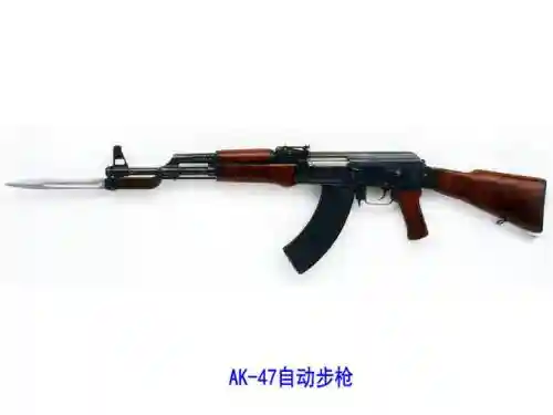 武器mod-ak47，武器A原版插图1