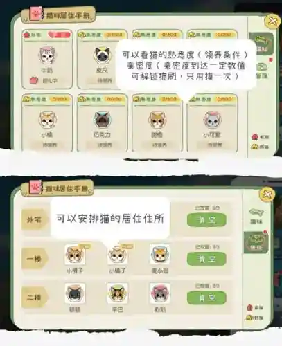 宠物森林白猫装备，宠物森林练级路线插图1