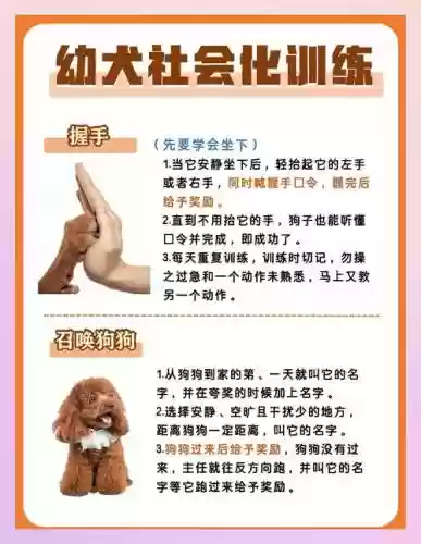 我宠物技能,我的宠物能学技能插图1 我宠物技能,我的宠物能学技能插图1